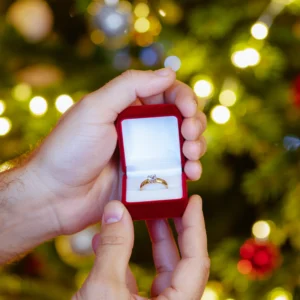 Prompt 2 (Der Weihnachts-Antrag) 1-1 v2